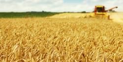 Zespół Agro Service podczas pracy w terenie